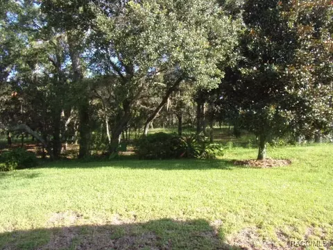 Exterior - 1291 W Diamond Shore Loop, Hernando, FL 34442 photo 3 of 3