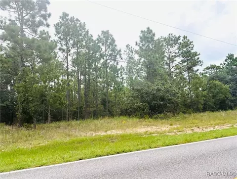 3995 W Hampshire Blvd, Citrus Springs, FL 34433