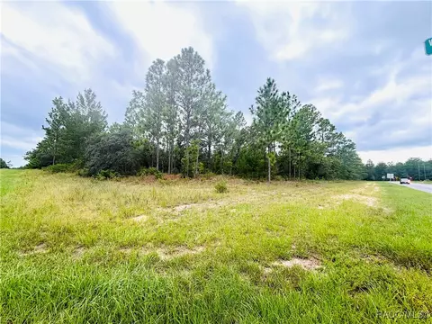 4021 W Malaluka Cir, Citrus Springs, FL 34433