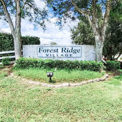 View/Area - 709 W Toucan Loop, Hernando, FL 34442 photo 3 of 5