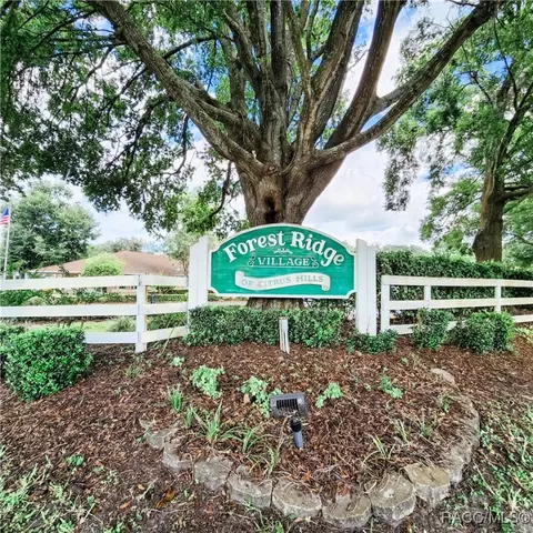 View/Area - 709 W Toucan Loop, Hernando, FL 34442 photo 4 of 5