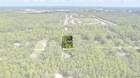 View/Area - 1215 W Pearson St, Hernando, FL 34442 photo 2 of 2