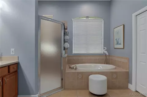 Bath - 1487 N Ridge Meadow Path, Hernando, FL 34442 photo 2 of 6