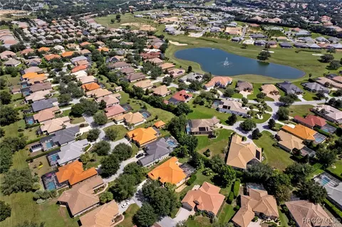 View/Area - 1487 N Ridge Meadow Path, Hernando, FL 34442 photo 2 of 8