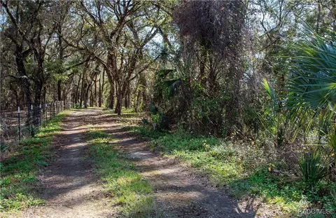 Other - 6970 N Palm Oak Dr, Hernando, FL 34442 photo 5 of 26
