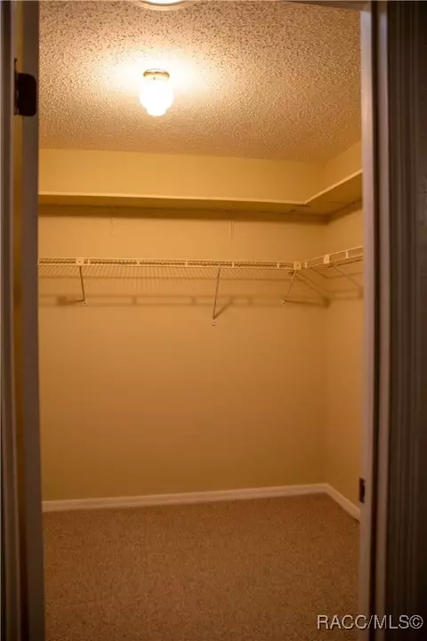 Other - 6970 N Palm Oak Dr, Hernando, FL 34442 photo 16 of 26