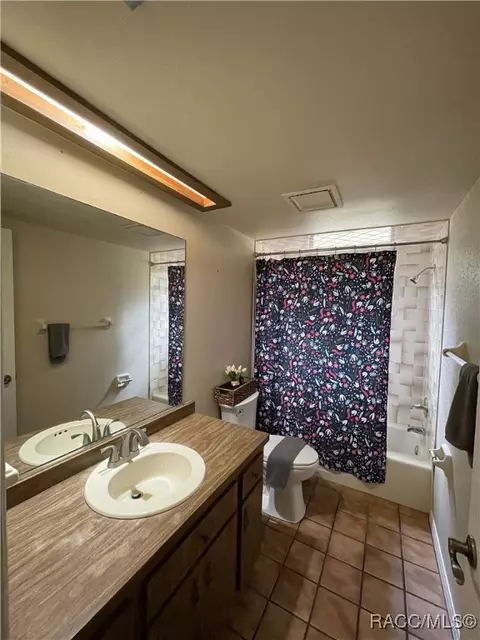 Bath - 6970 N Palm Oak Dr, Hernando, FL 34442 photo 1 of 5