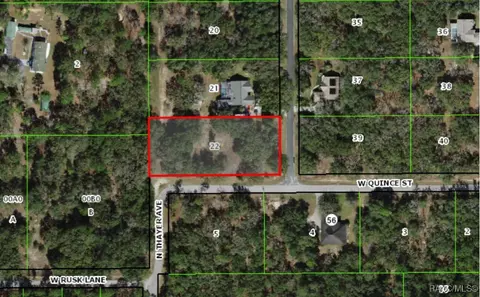 54 N Indianapolis Ave, Hernando, FL 34442 photo 2
