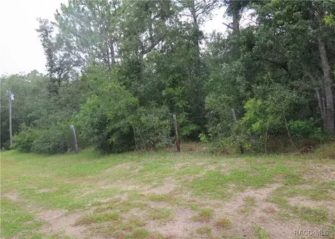 1434 W Milan Ln, Hernando, FL 34442 photo 1