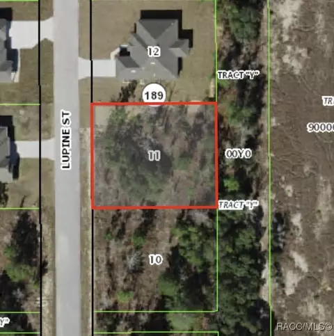 22 Lupine St, Homosassa, FL 34446