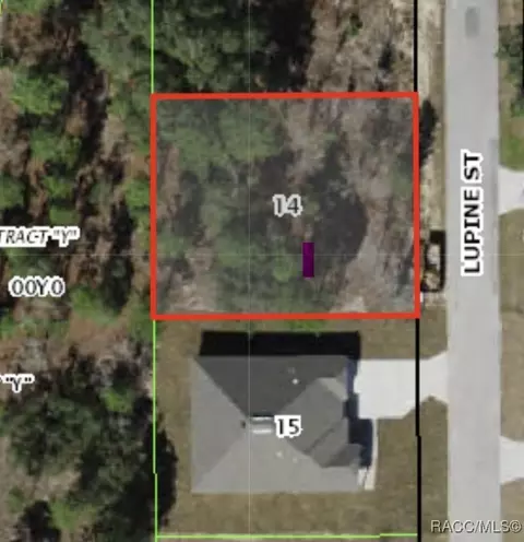 25 Lupine St, Homosassa, FL 34446