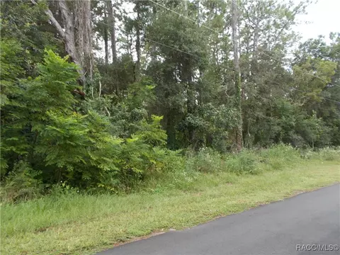 370 E Liberty St, Hernando, FL 34442 photo 4