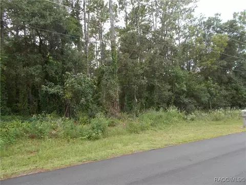 370 E Liberty St, Hernando, FL 34442 photo 3