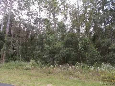370 E Liberty St, Hernando, FL 34442 photo 5