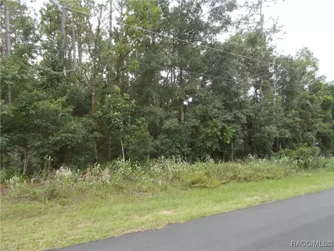 370 E Liberty St, Hernando, FL 34442