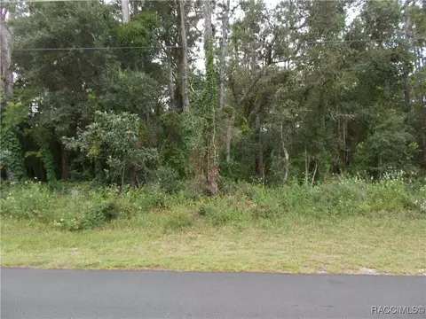 370 E Liberty St, Hernando, FL 34442 photo 2
