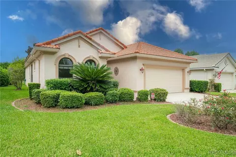 Other - 1299 W Skyview Crossing Dr, Hernando, FL 34442 photo 3 of 32