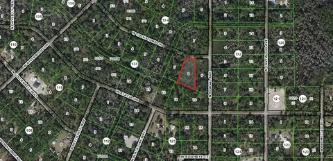 11228 W Cockscomb Dr, Crystal River, FL 34428