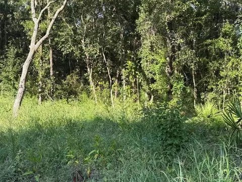 6612 W Grant St, Homosassa, FL 34448