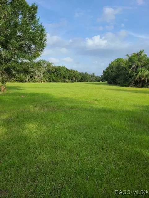 5573 N Larue Denise Ter, Crystal River, FL 34428