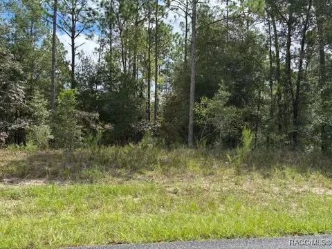 8001 N Galena Ave, Citrus Springs, FL 34434