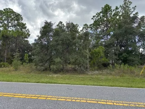 1046 W Hampshire Blvd, Dunnellon, FL 34434