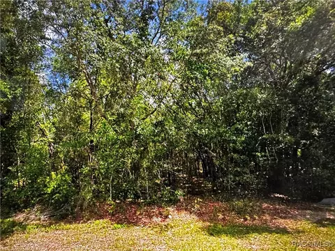 2678 E Celina St, Inverness, FL 34453