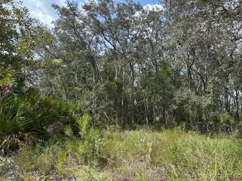 2704 W Patterson Ct, Lecanto, FL 34461