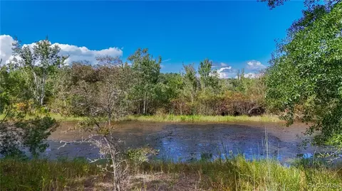 11559 Steamboat Dr, Floral City, FL 34436