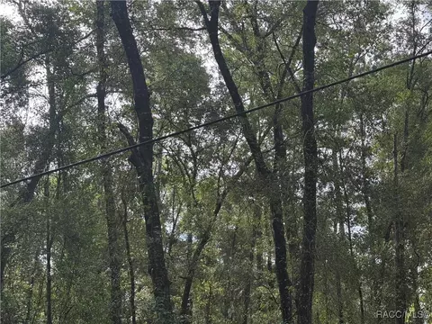 6066 E King Ln, Inverness, FL 34452