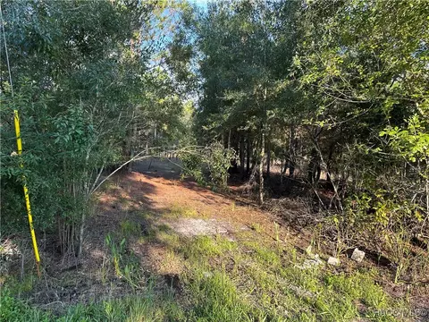 8338 Hardstone Dr, Webster, FL 33597 photo 2