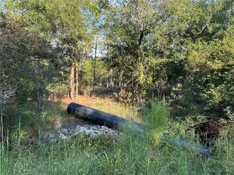 8338 Hardstone Dr, Webster, FL 33597 photo 8