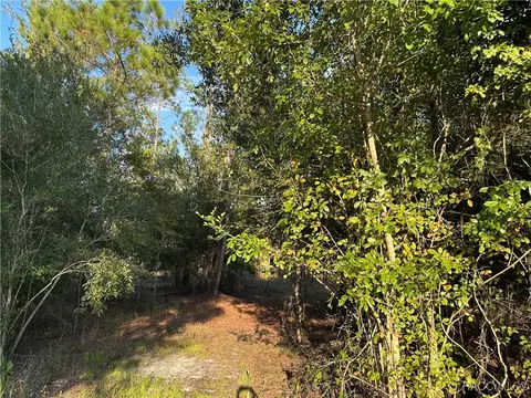 8338 Hardstone Dr, Webster, FL 33597
