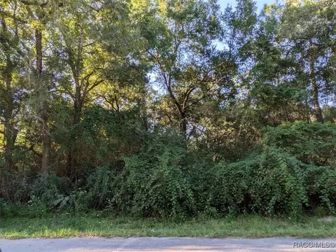 3248 E Scofield St, Inverness, FL 34453