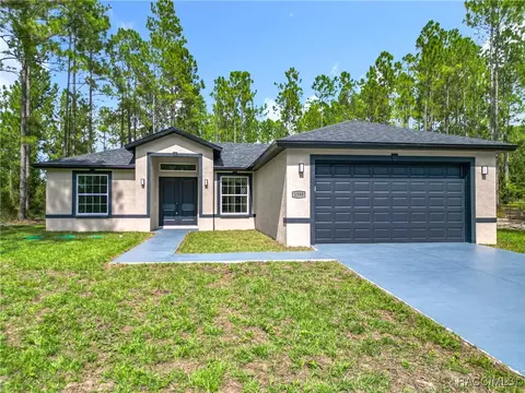 1599 W G Martinelli Blvd, Citrus Springs, FL 34434