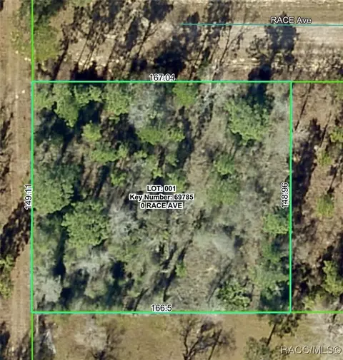 14056 Race Ave, Brooksville, FL 34614