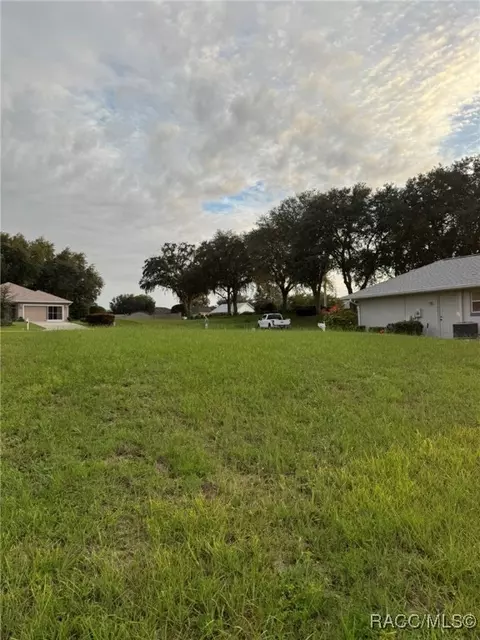 591 W Raymond Path, Beverly Hills, FL 34465