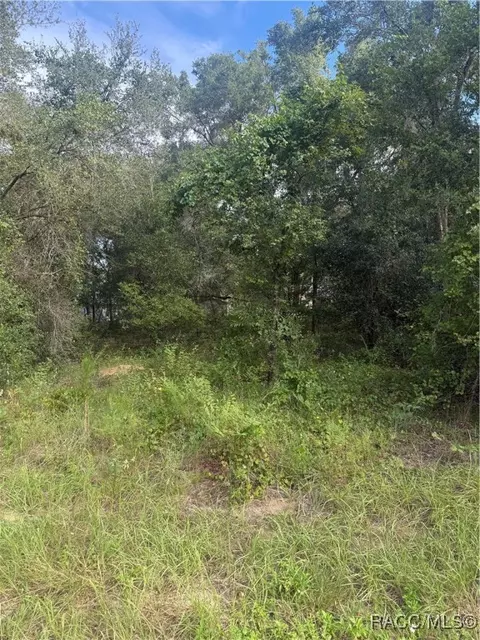 4087 E Dano St, Inverness, FL 34453