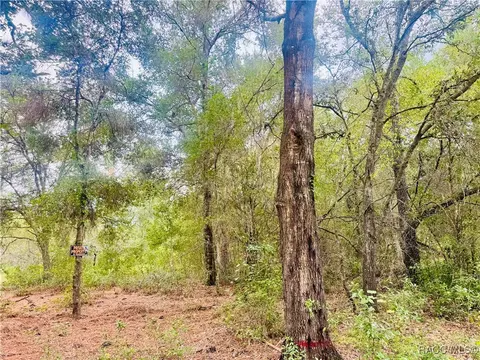 2203 Adams St, Inverness, FL 34453