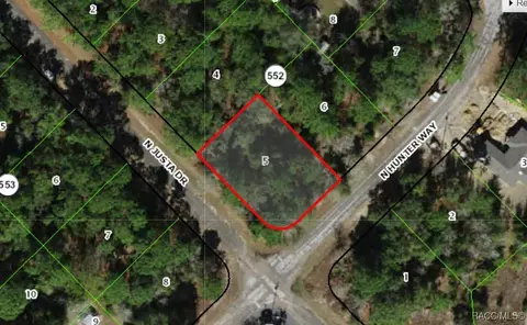 9145 N Justa Dr, Citrus Springs, FL 34433