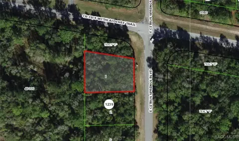 2177 E Citrus Springs Blvd, Dunnellon, FL 34434
