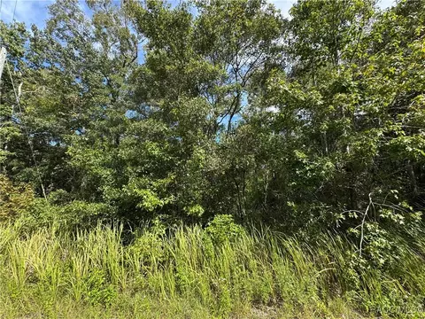 0 Rosy Gull Ave, Weeki Wachee, FL 34614