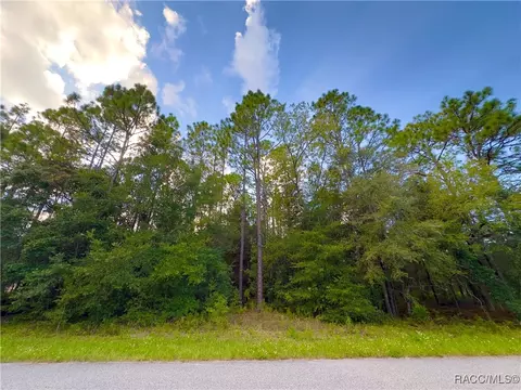7962 N Hale Rd, Citrus Springs, FL 34434