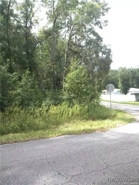 514 N Dugan Ave, Inverness, FL 34453