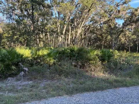10553 S Belle Pt, Homosassa, FL 34446