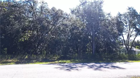 289 N Highview Ave, Hernando, FL 34442