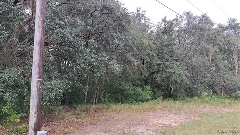 289 N Highview Ave, Hernando, FL 34442 photo 3