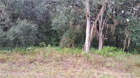 289 N Highview Ave, Hernando, FL 34442 photo 5