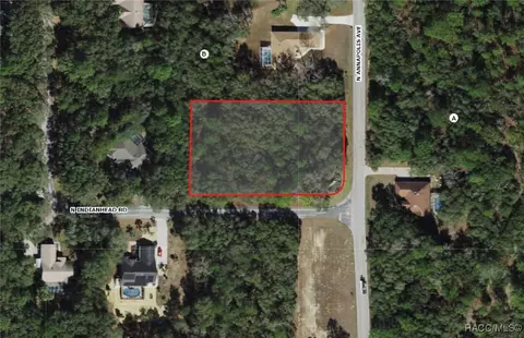 3509 N Indianhead Rd, Hernando, FL 34442 photo 2