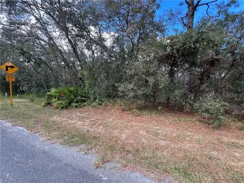 3509 N Indianhead Rd, Hernando, FL 34442 photo 7